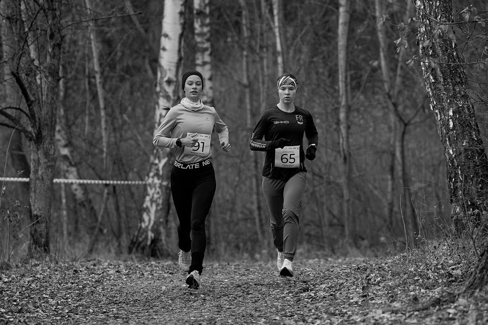 Photograph by Дмитрий Соколов