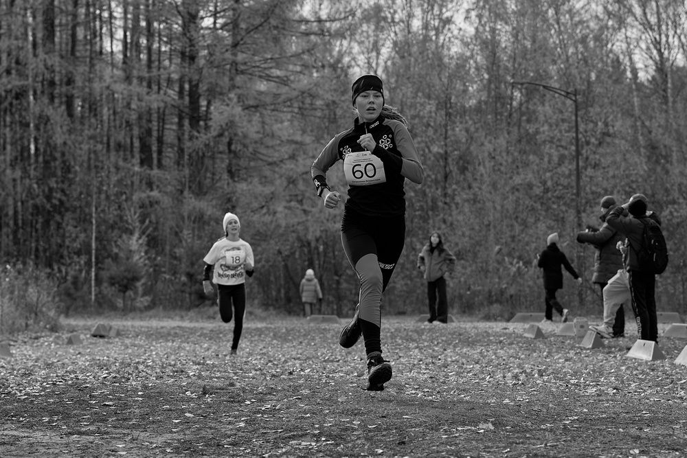 Photograph by Дмитрий Соколов