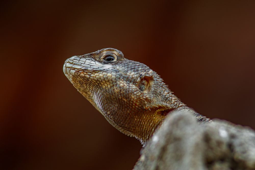 Photograph by Gabriel de Araujo Almeida
