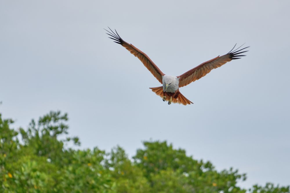 Фотография автора Дмитрий Рудь