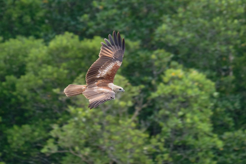 Фотография автора Дмитрий Рудь