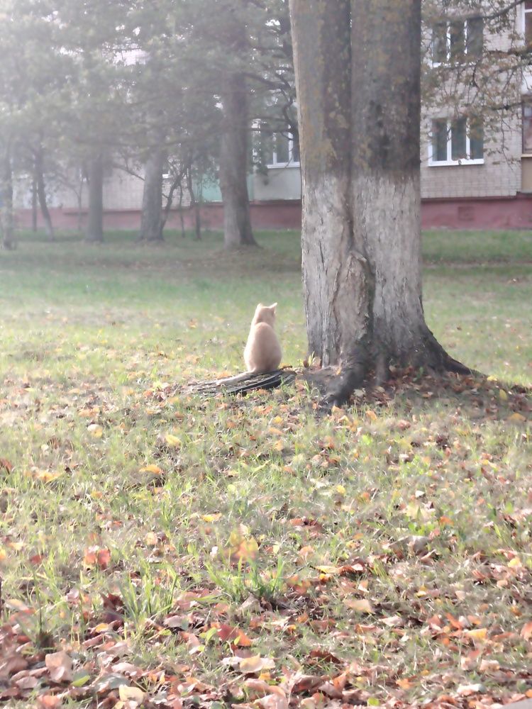 Фотография автора Мария
