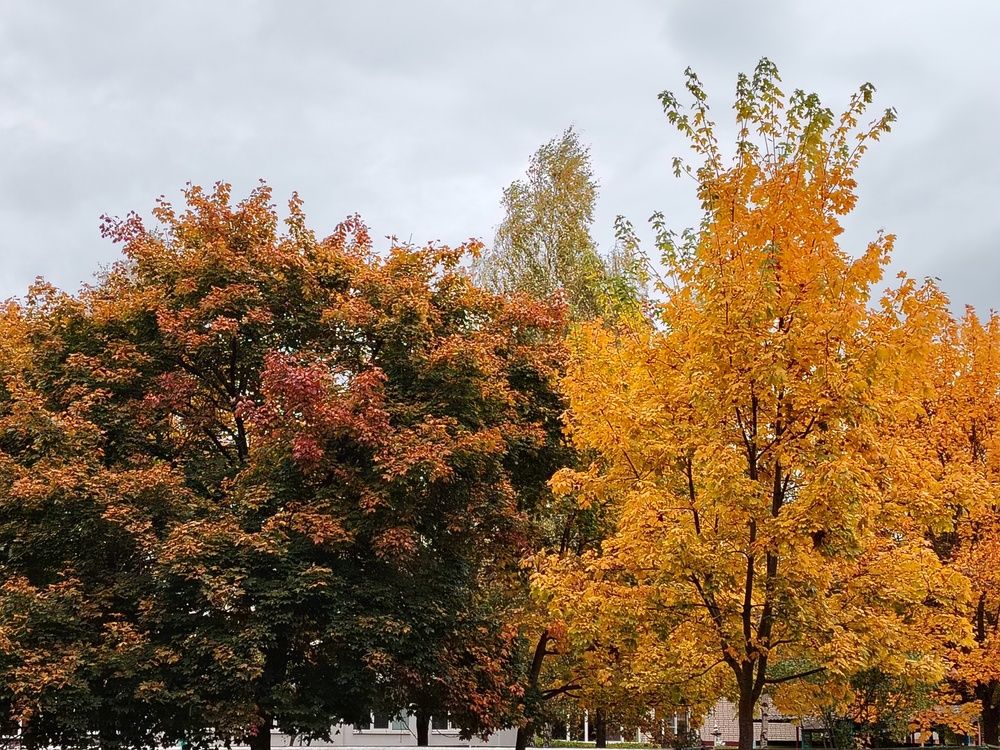 Фотография автора Мария