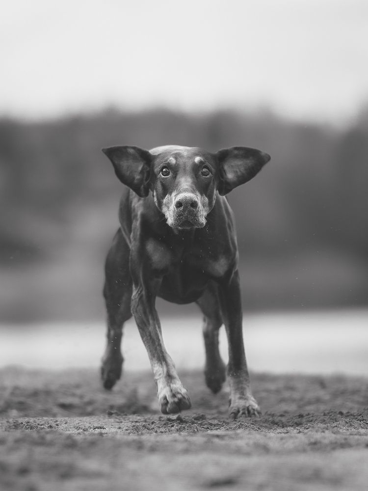 Photograph by Мария Клещенко