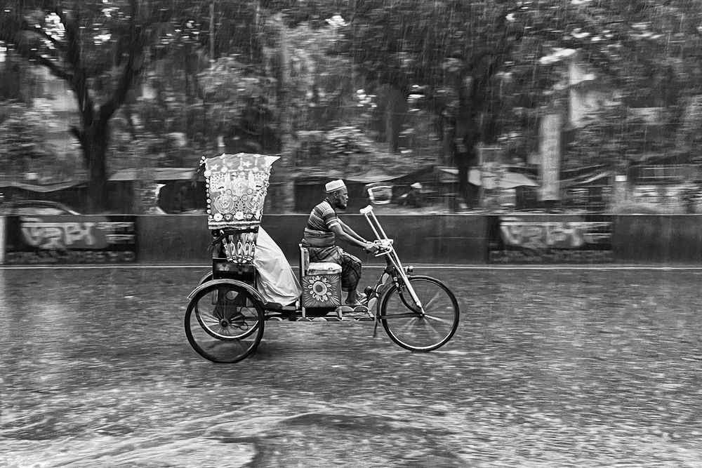 Фотография автора Washiful Majid