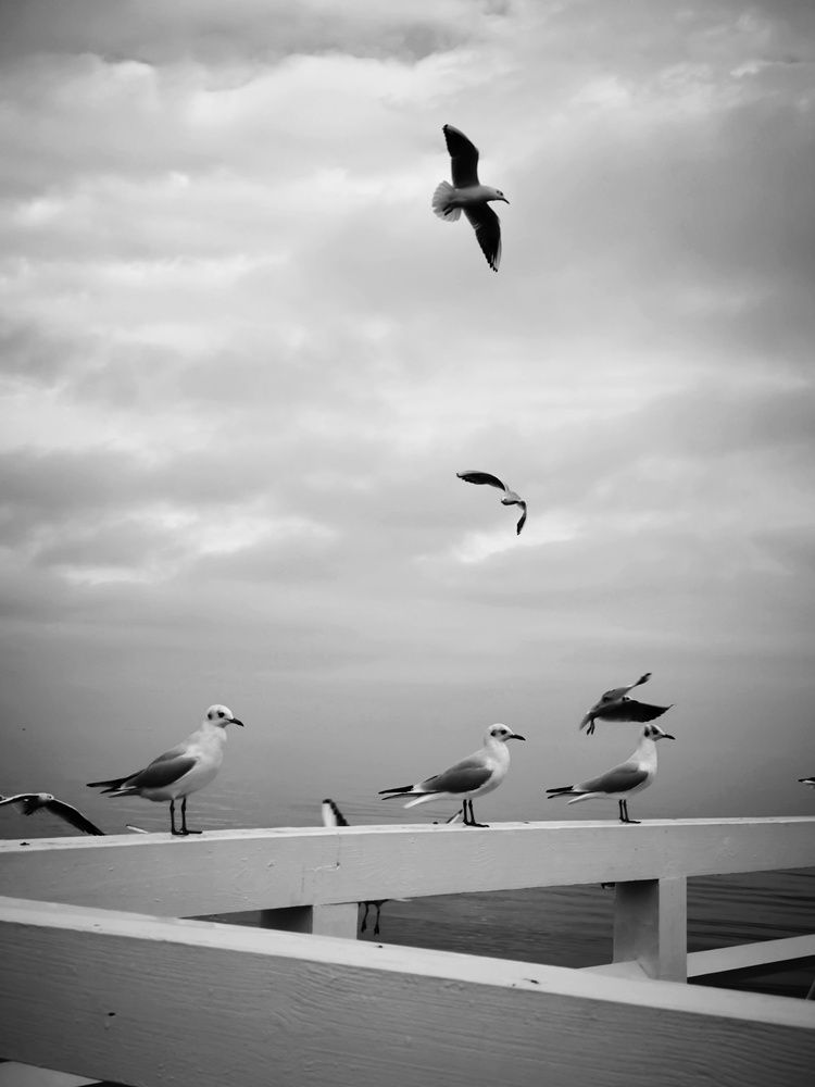 Photograph by Татьяна Яцкевич