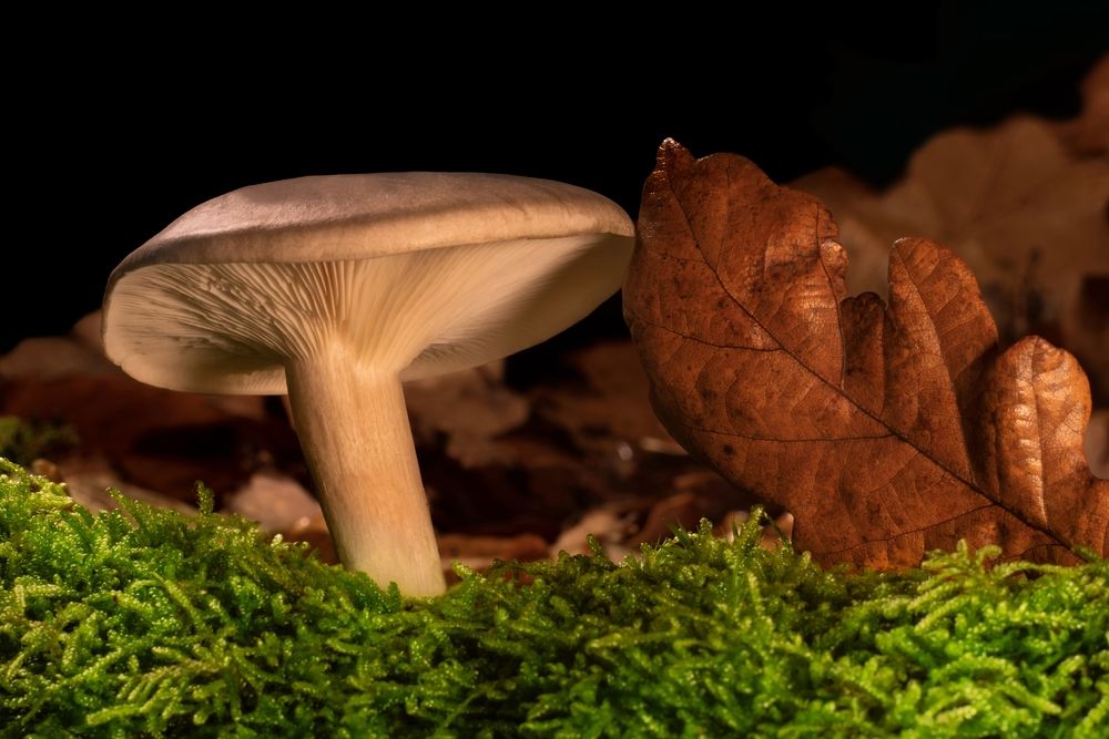 Photograph by Вадим