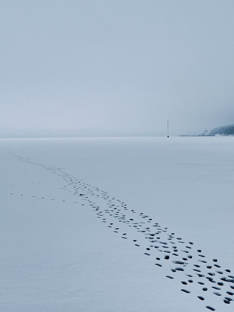 Photograph by Ирина Селиверстова
