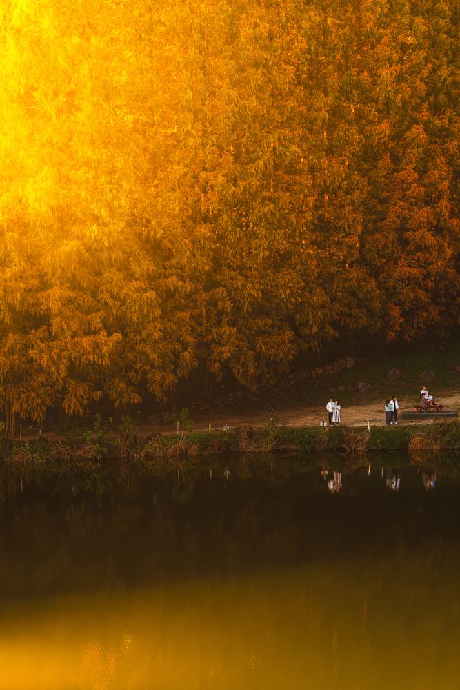 Autumn Days