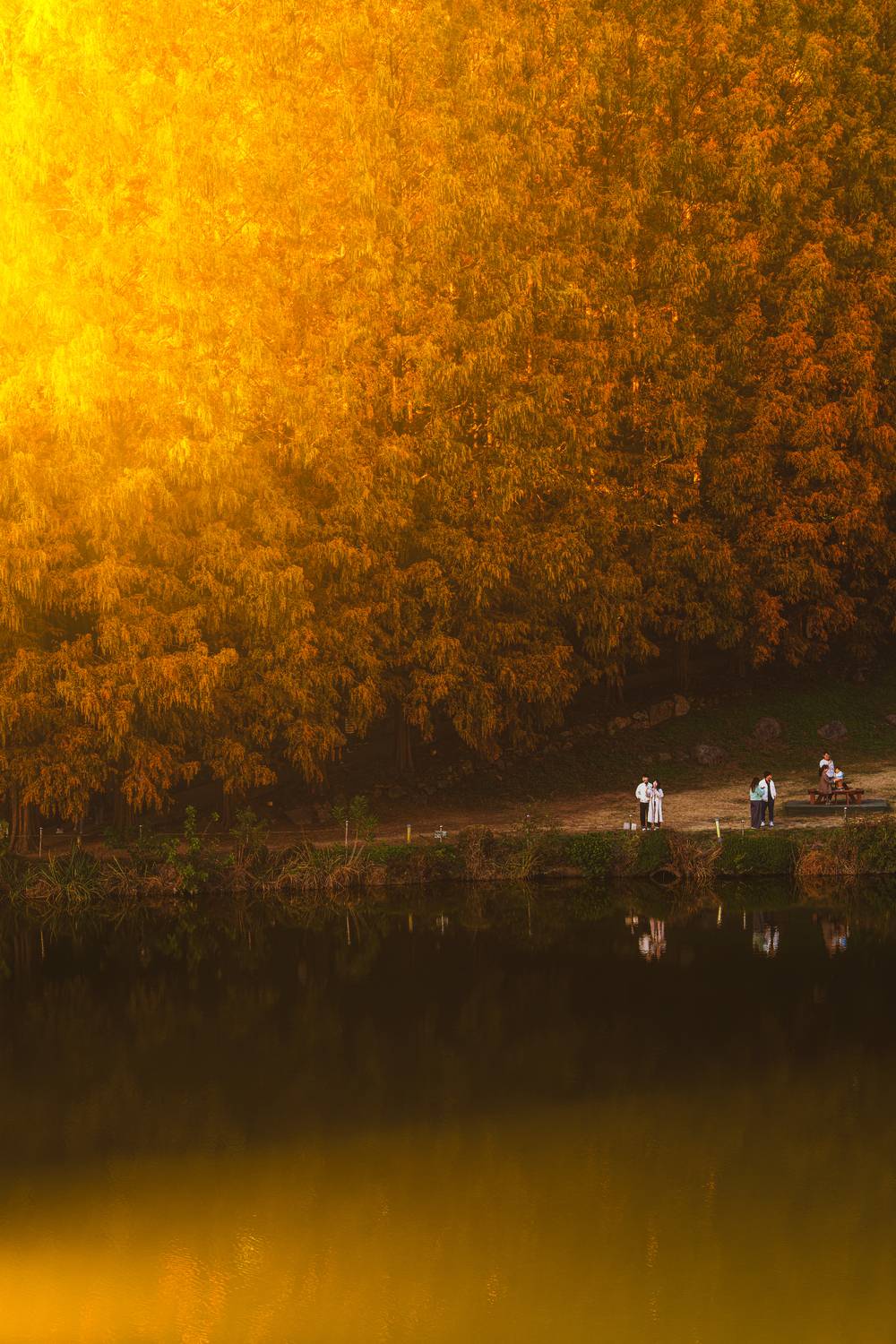 Autumn Days Autumn Days