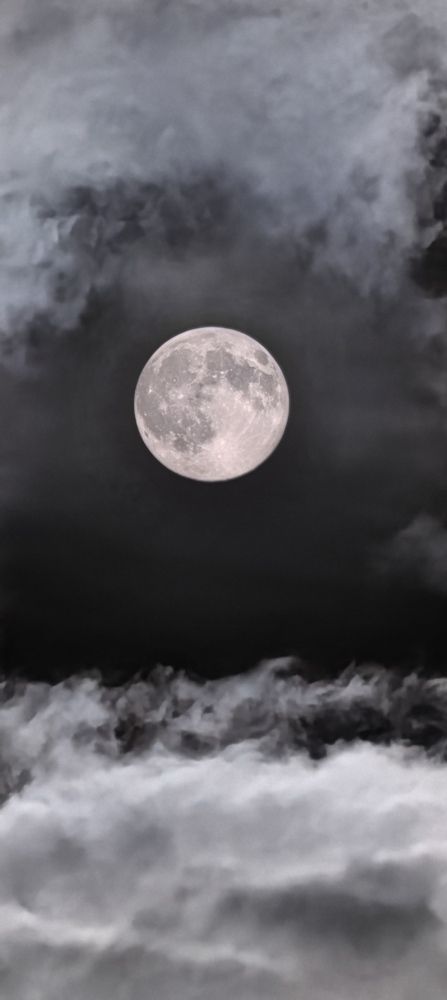 Photograph by Екатерина Будакова