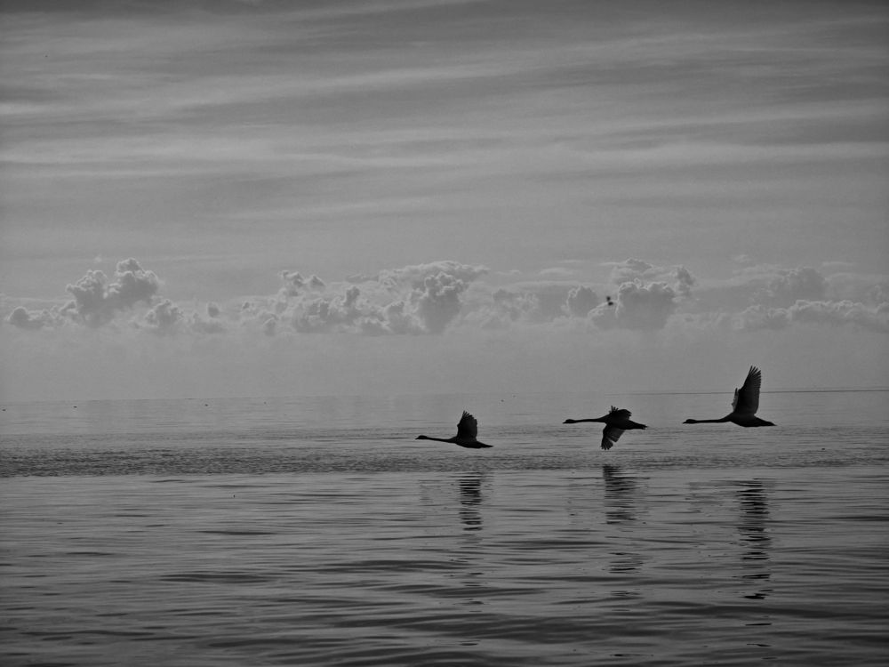 Фотография автора Наташа Данилова