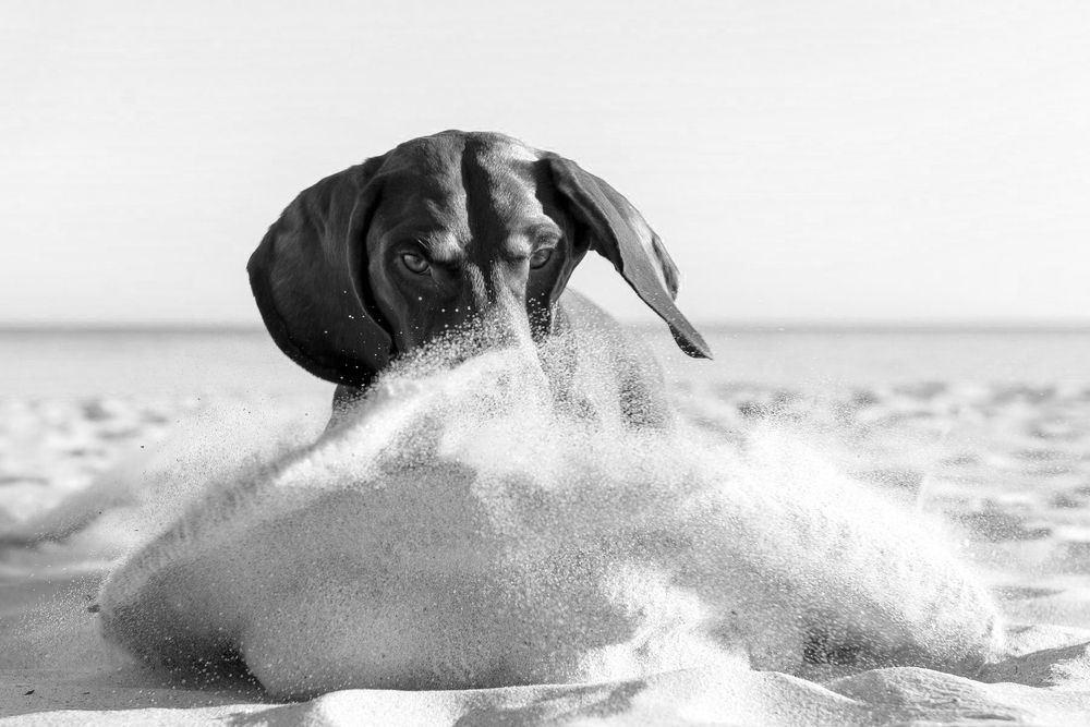 Photograph by Ольга Тенилова