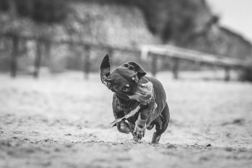Фотография автора Ольга Тенилова