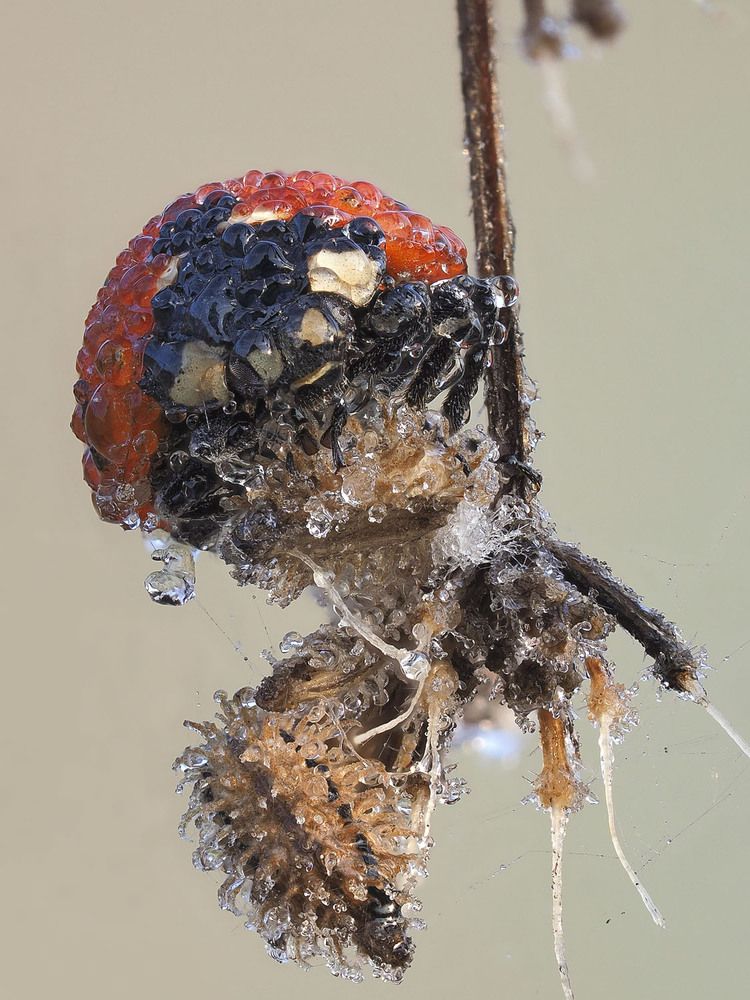 Photograph by Лукашук Евгений