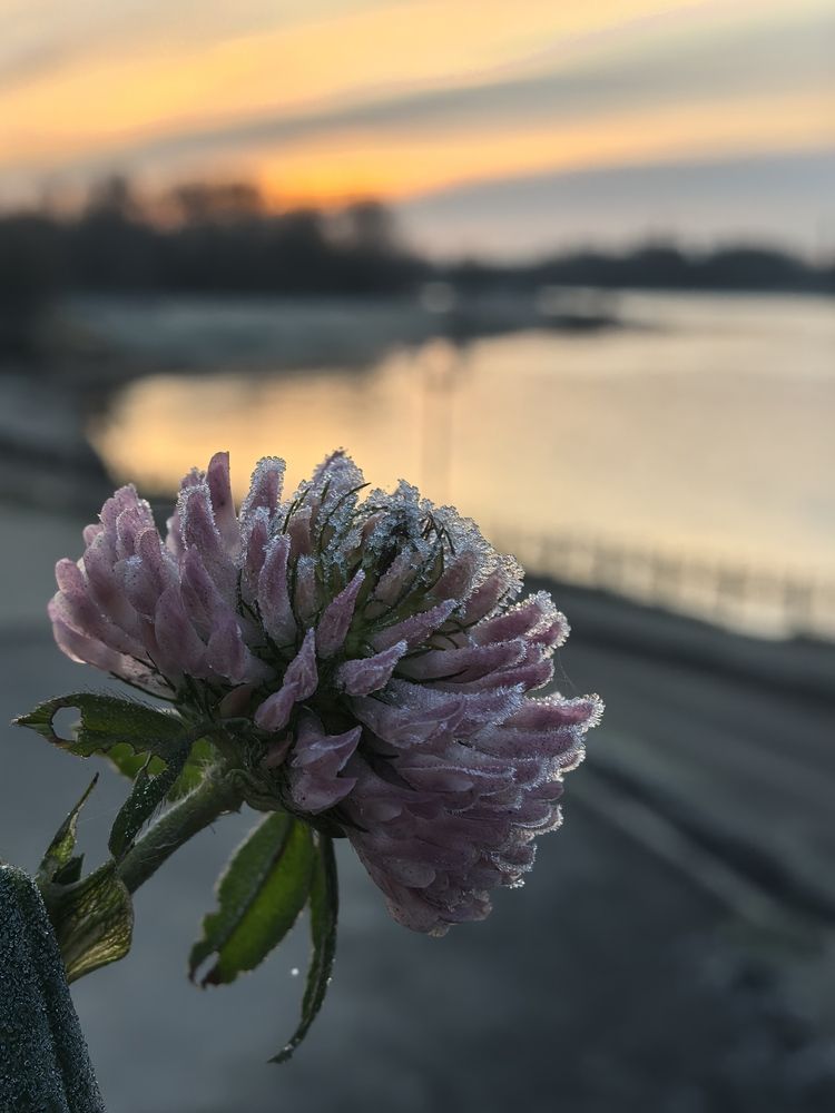 Photograph by Анастасия Проскурнова