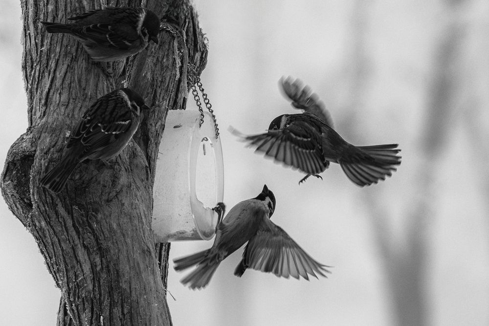 Photograph by Наталья Максимова