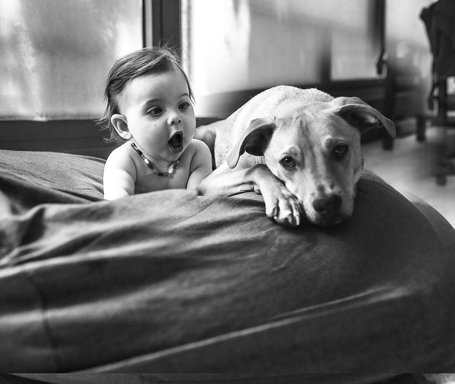 Photo #12821417