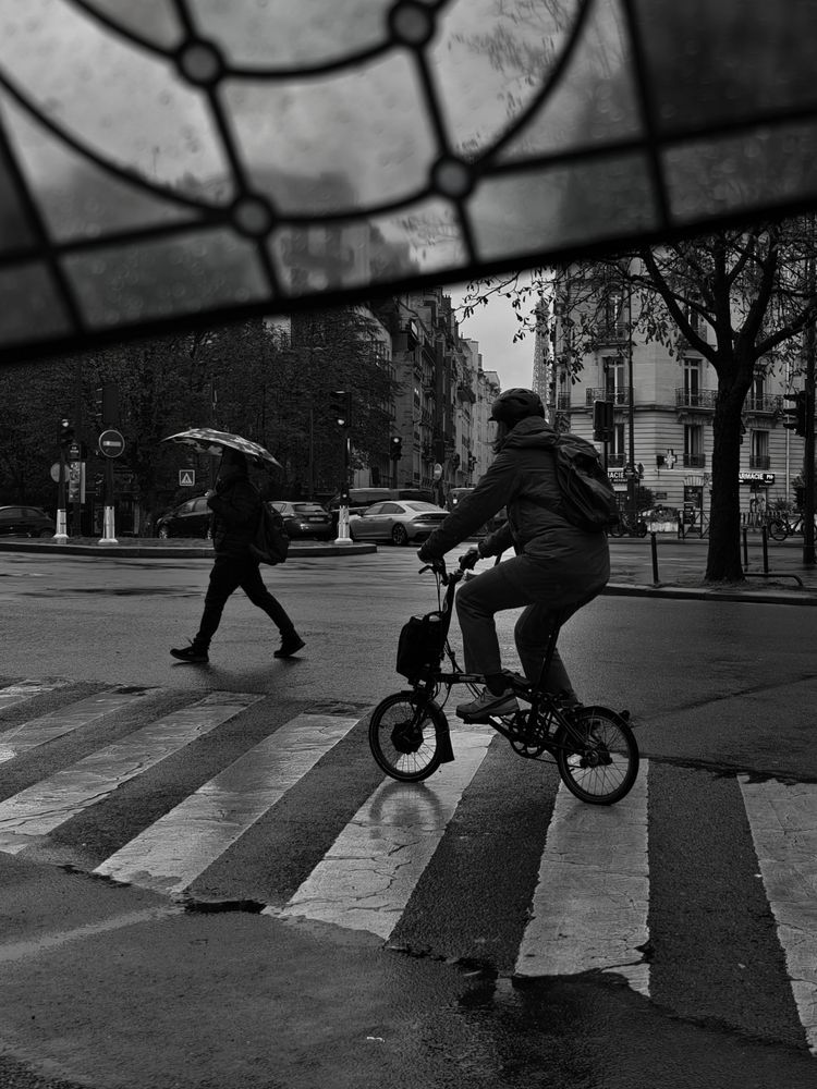 Photograph by Светлана Мишенина