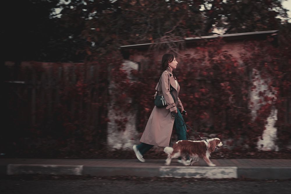 Photograph by Анна Захаркова