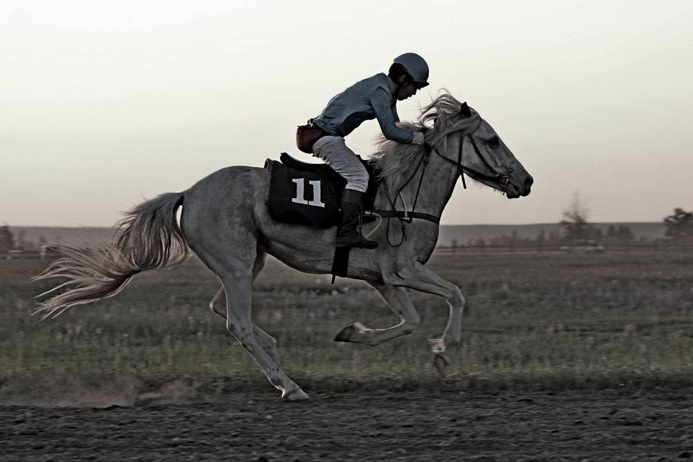 Photograph by Александр Велигура