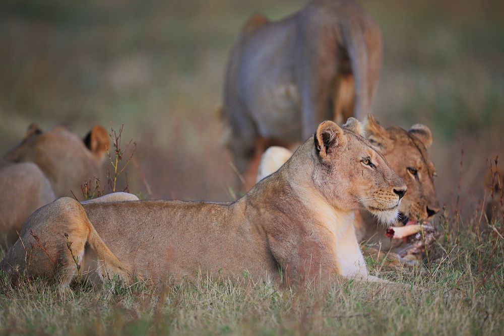 Photograph by Ирина Худзинская