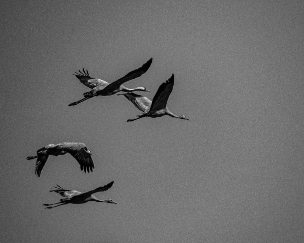 Photograph by Наталья Балабанова