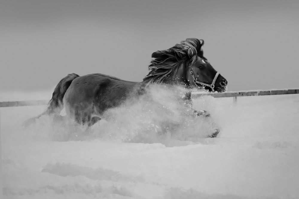 Photograph by Ольга Заповедная