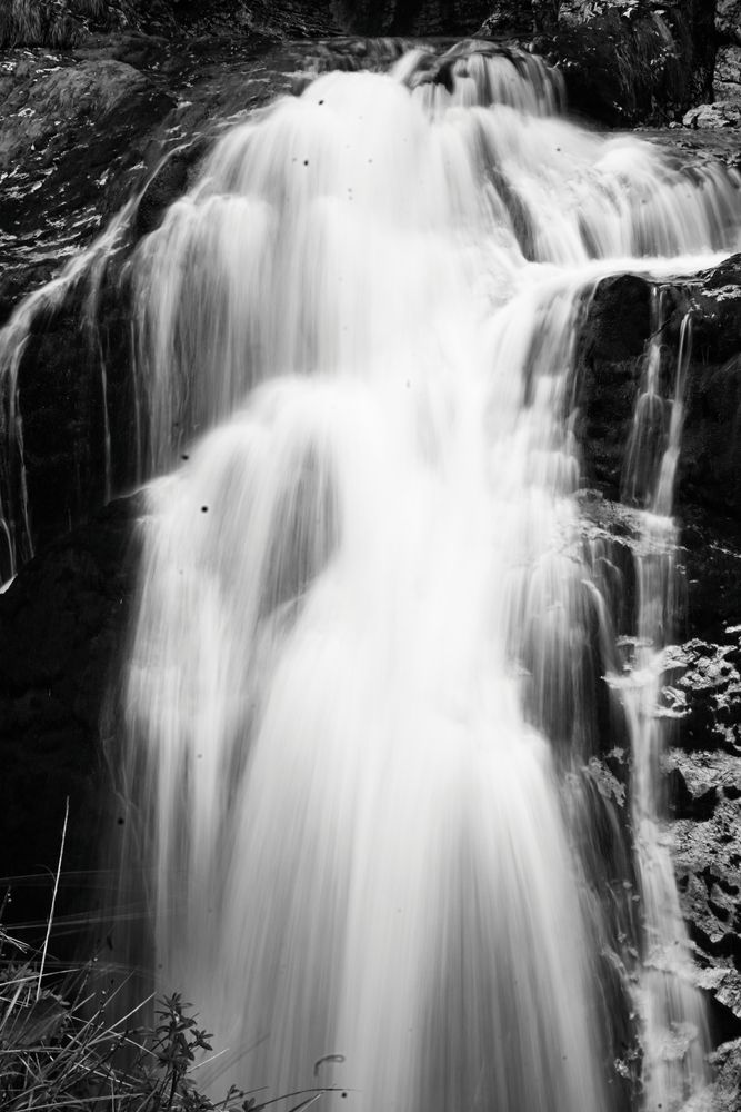 Photograph by Maria Vittoria Amoruso