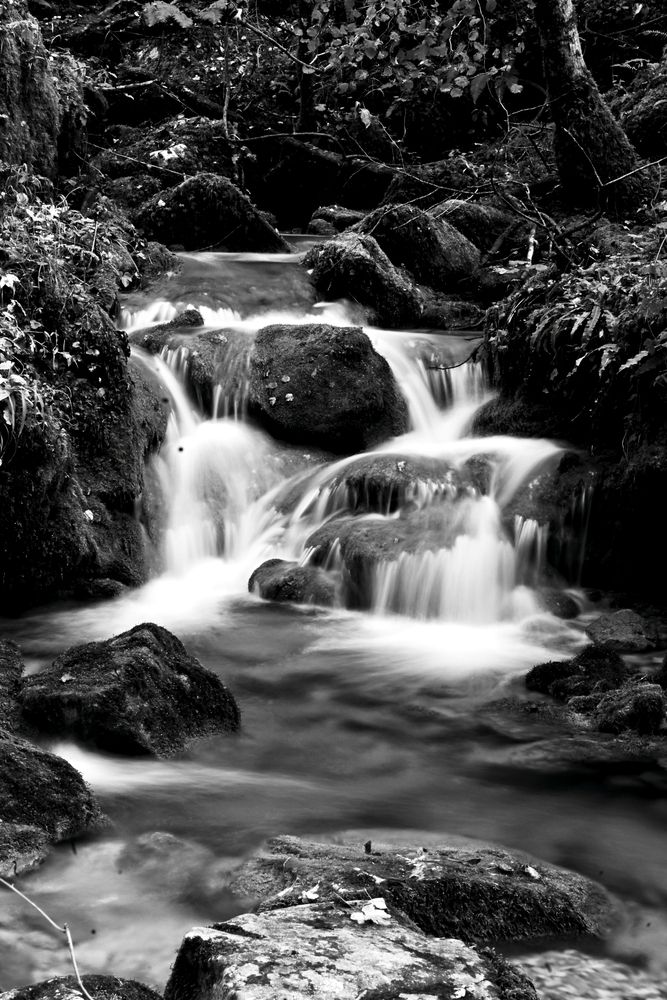 Photograph by Maria Vittoria Amoruso