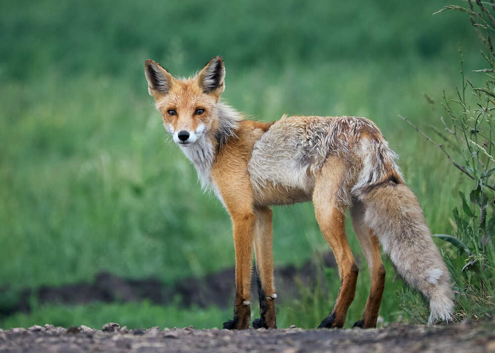 Photograph by Mikhail Khmelevskiy