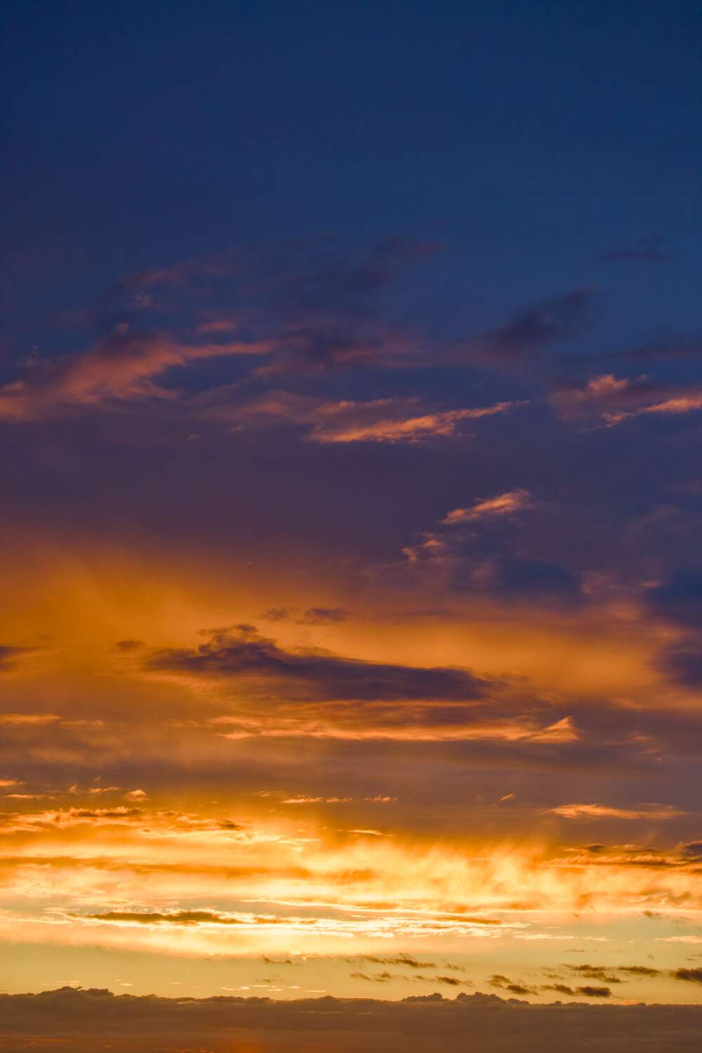 Photo #12821894
