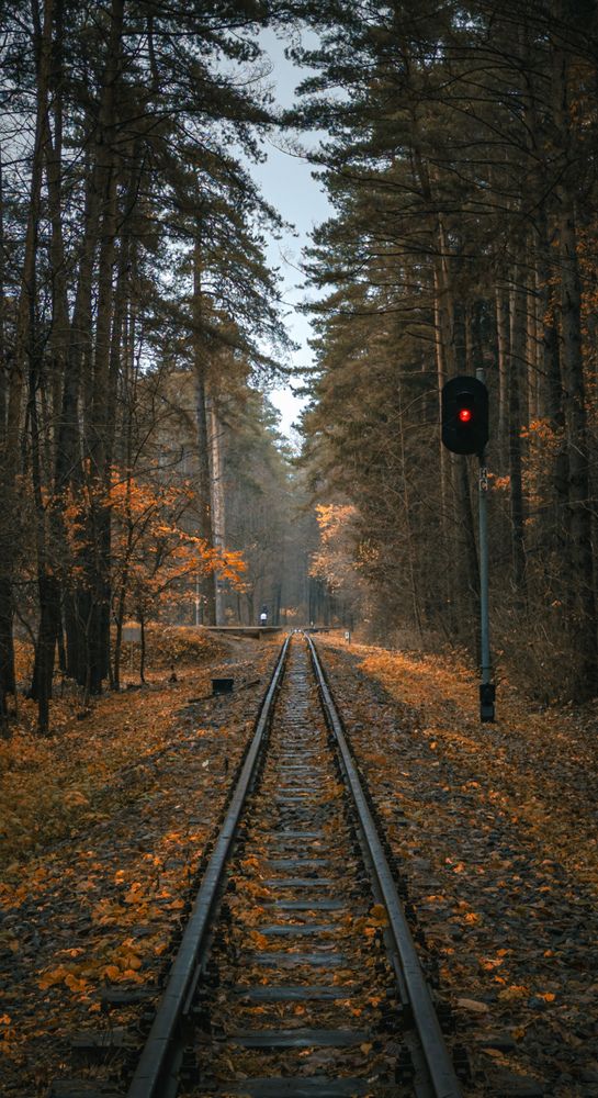 Фотография автора Геннадий Ломеко