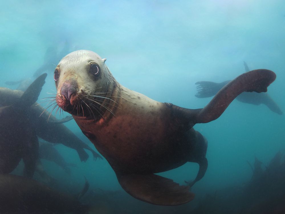 Photograph by Екатерина Сараева