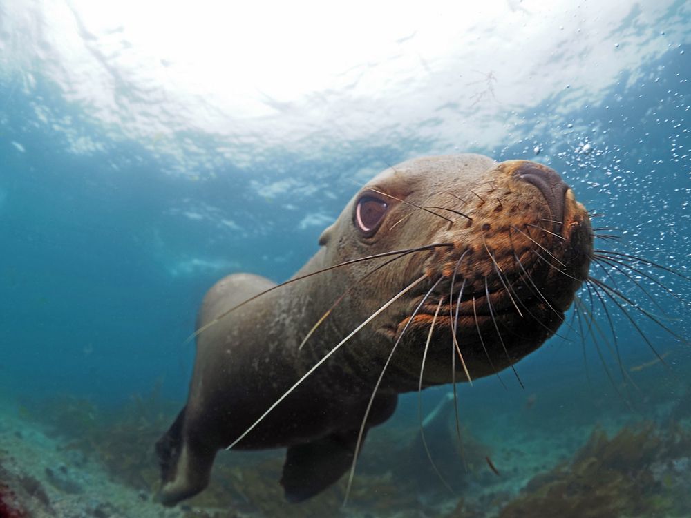 Photograph by Екатерина Сараева