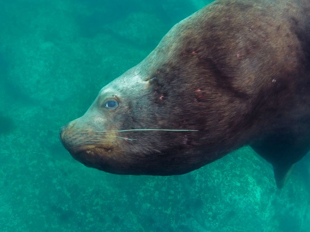 Photograph by Екатерина Сараева