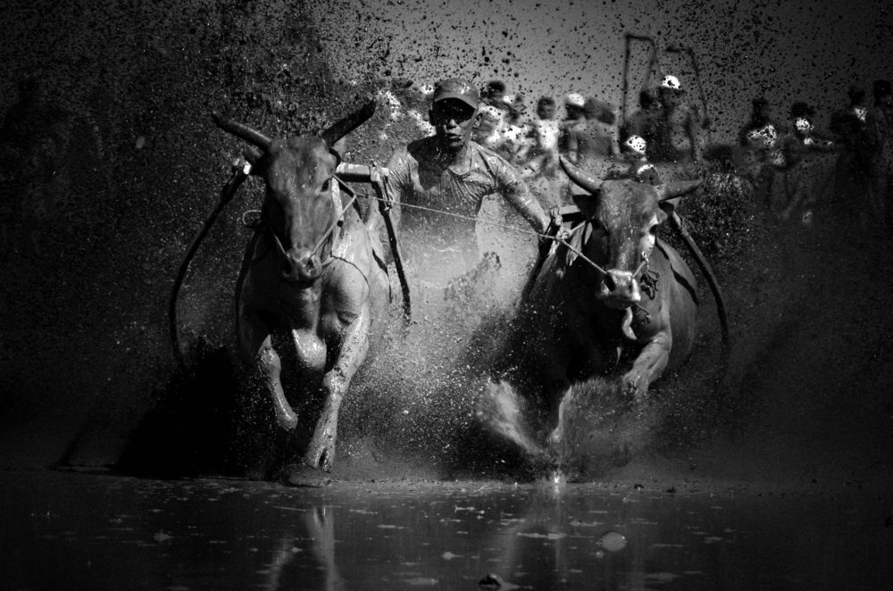 Photograph by Ridwan Read