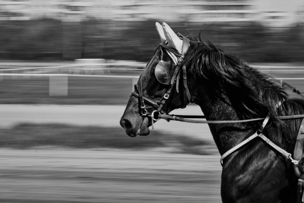 Photograph by Александр Перегудов