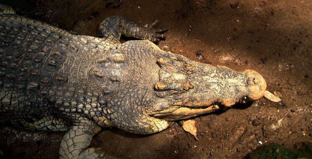 Photograph by Жанна Нечаева