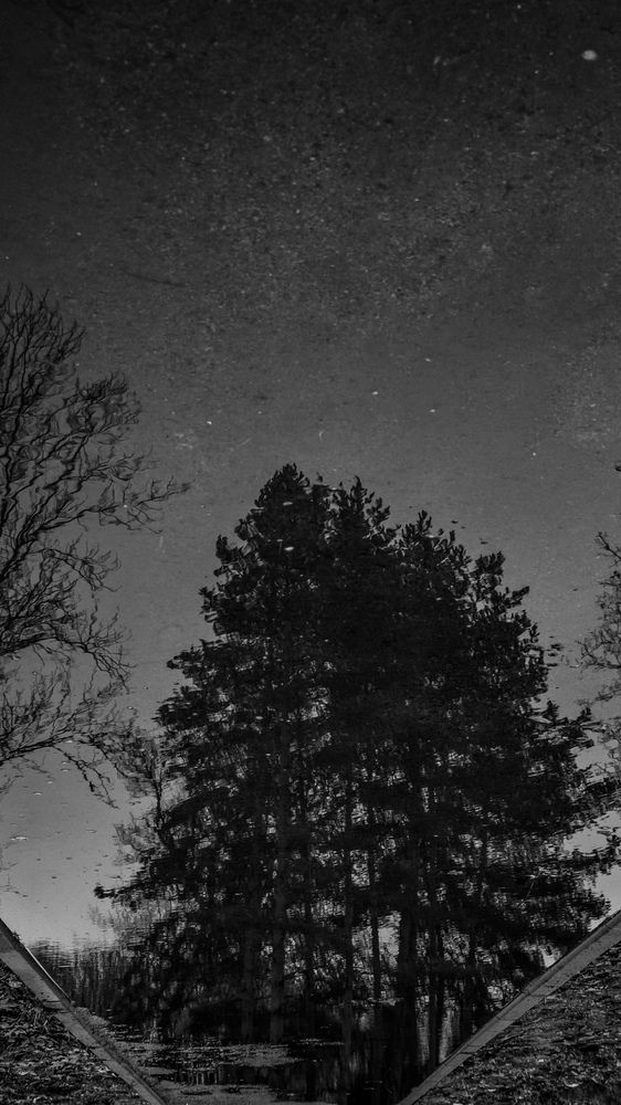 Photograph by Eugenia Blinova