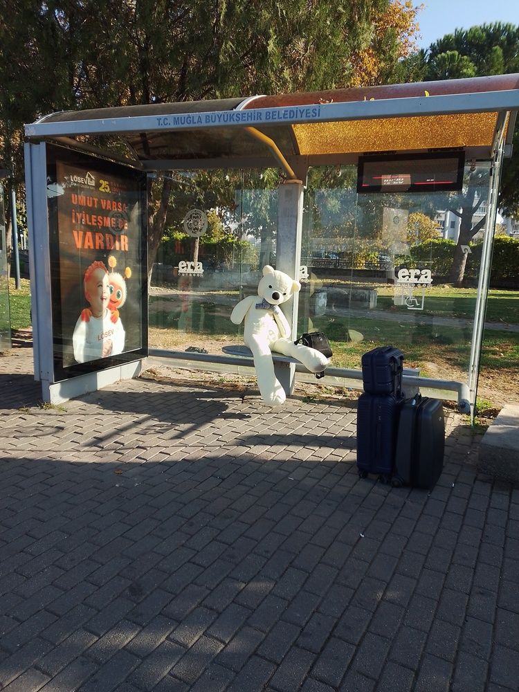 Пассажир с чемоданами