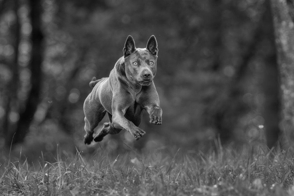 Photograph by Зубкова Юлия