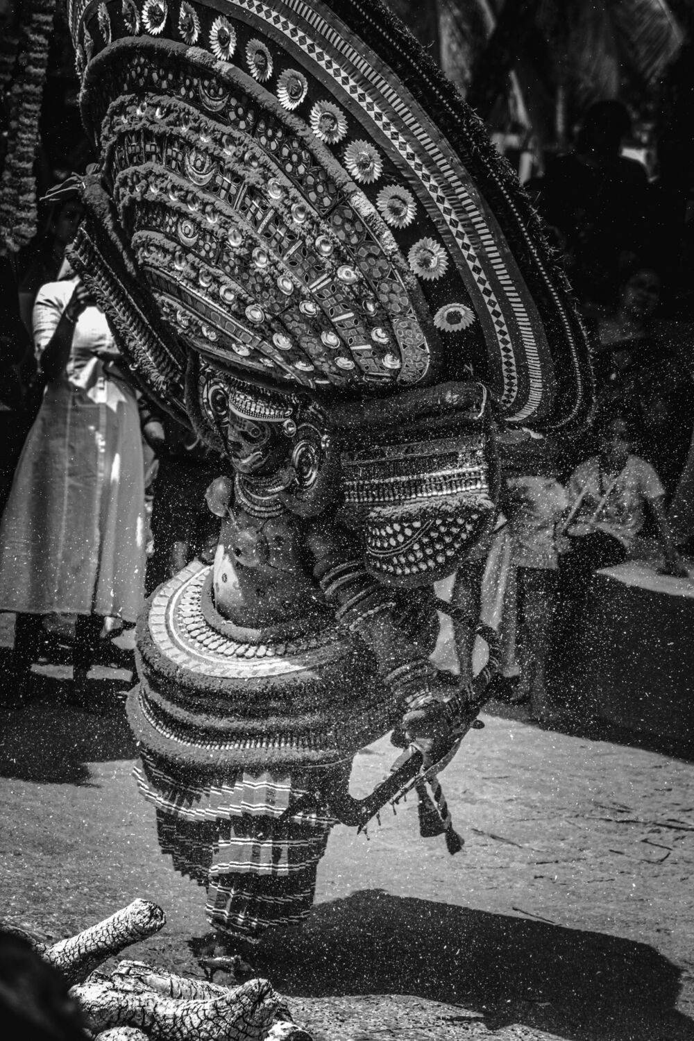 Photo #12822352