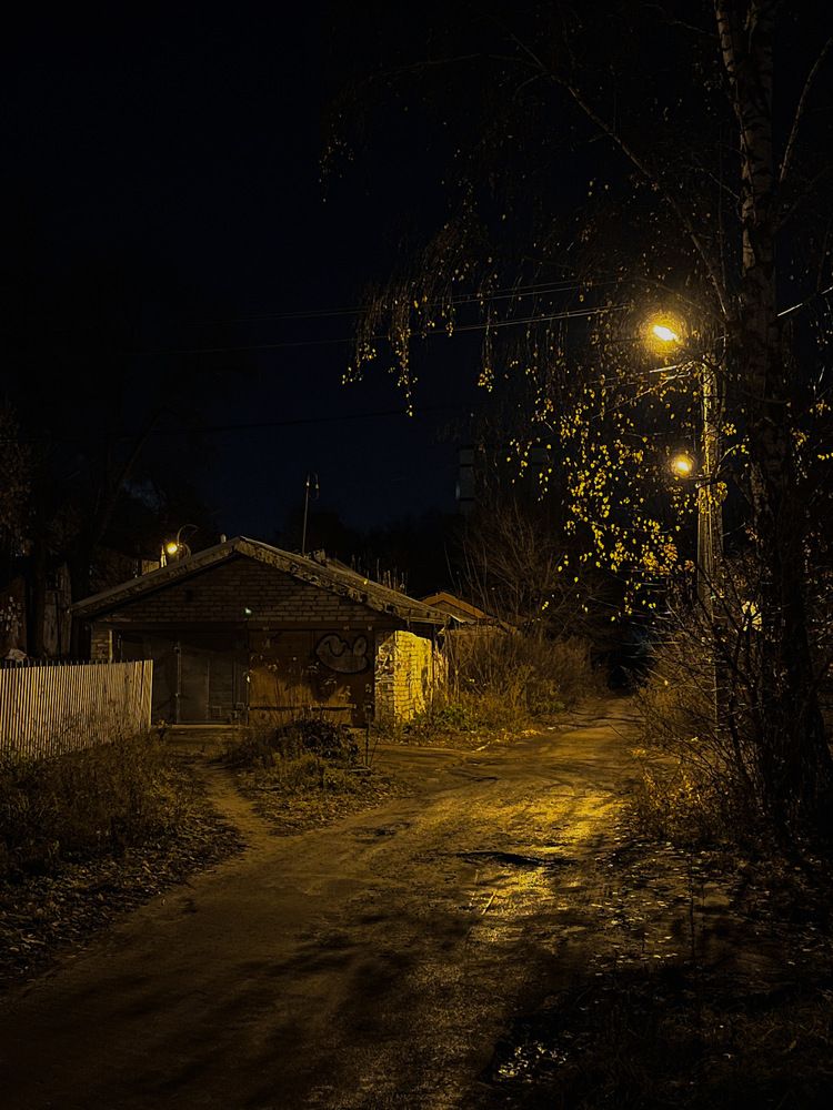 Фотография автора Регина Габдулхаева