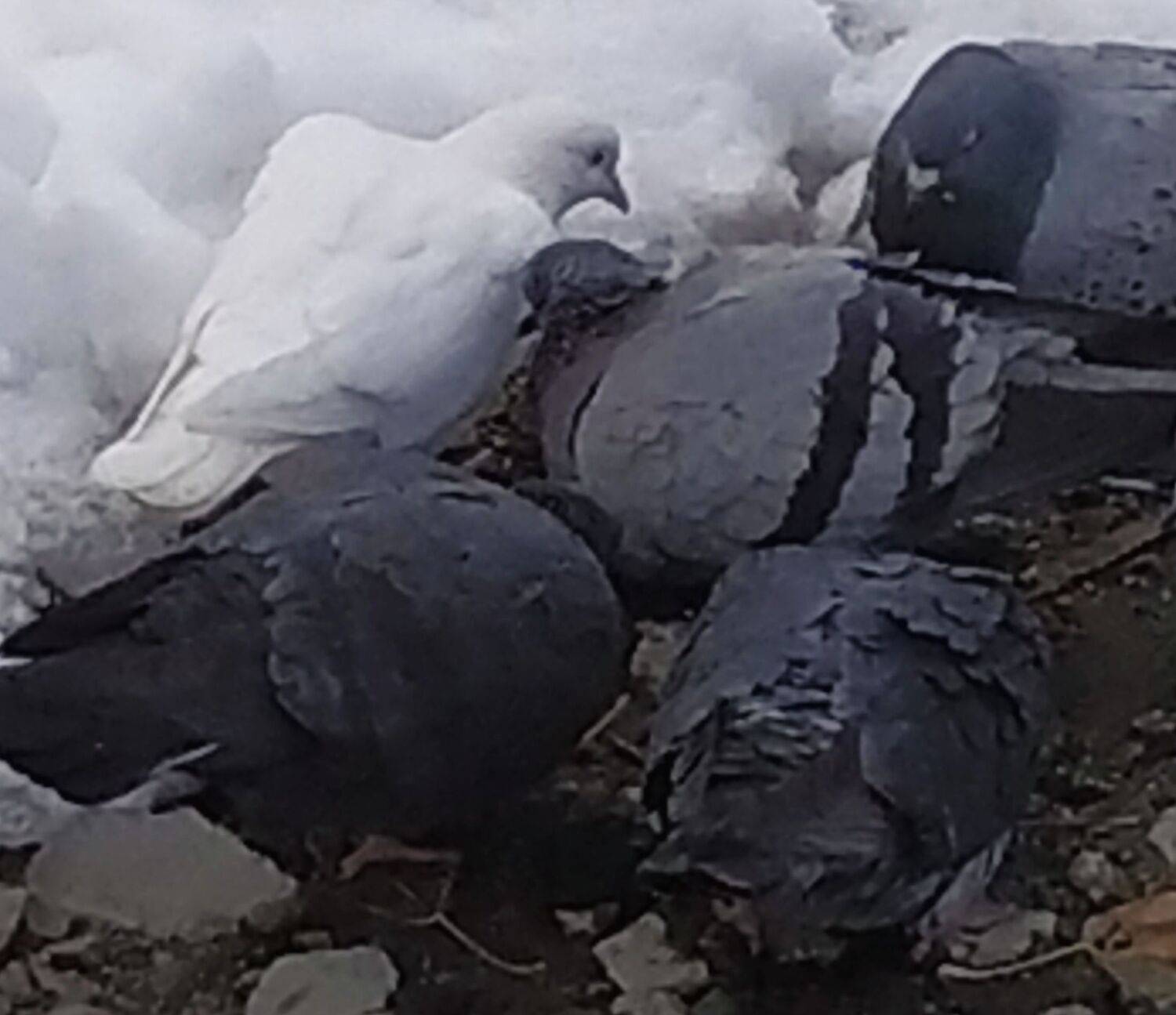 Photo #12822491