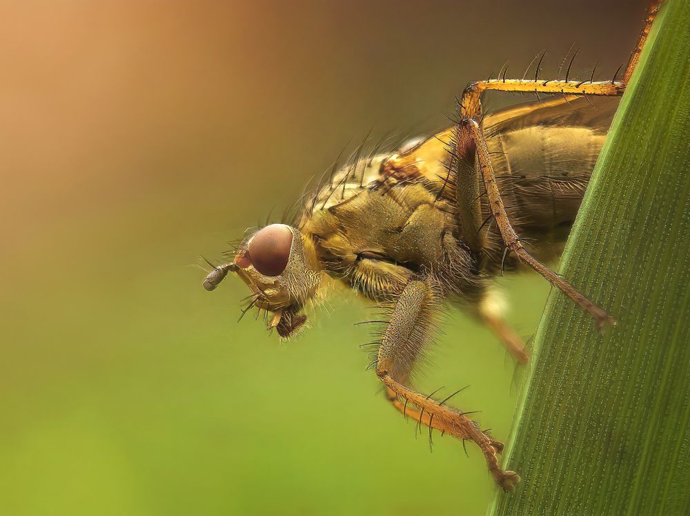 Photograph by Роман Филиповец