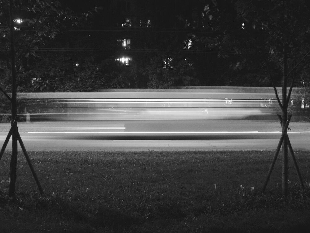 Photograph by Тимофей Петров