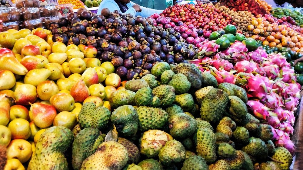 Фотография автора Captured Chronicles