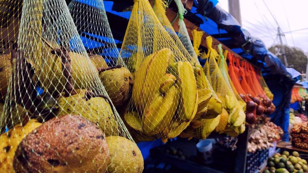 Фотография автора Captured Chronicles