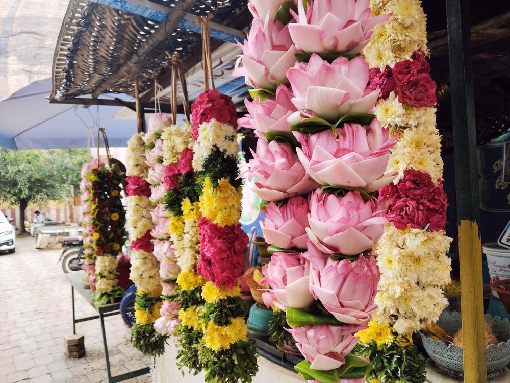 Фотография автора Captured Chronicles